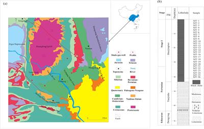 Mineralogy and geochemistry of the Cambrain Shuijingtuo Formation black shales from Western Hubei, China: implications on enrichment of critical metals and paleoenvironment